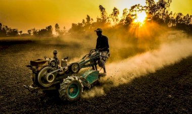 تیلر چیست و چه کاربردی در کشاورزی دارد؟