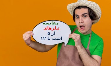 برای زمین خود چه تیلری بخریم؟ (راهنمای انتخاب تیلر ۵، ۷، ۱۰ و ۱۲ اسب بخار)