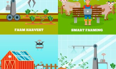 آیا استفاده از چاله‌کن در زمین‌های مرطوب مشکلی دارد؟ نکات مهم برای کشاورزان