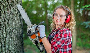 بهترین اره موتوری برای کارهای سبک خانگی کدام است؟ راهنمای خرید از غیاثی شاپ