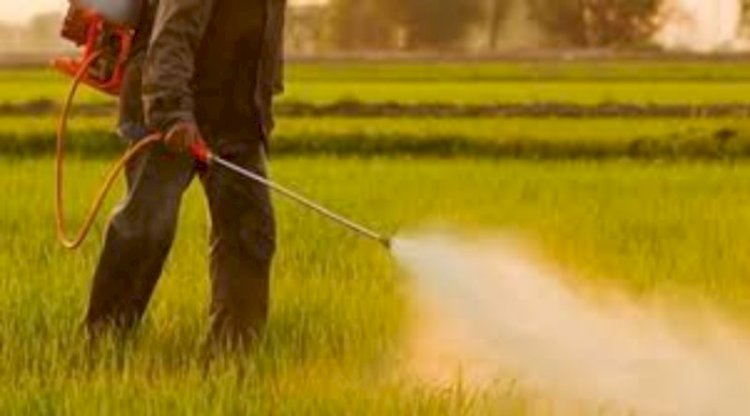 در پاییز چه سم‌پاشی‌هایی برای باغ انجام می‌شود؟ راهنمای کامل سم‌پاشی اصولی در فصل سرد