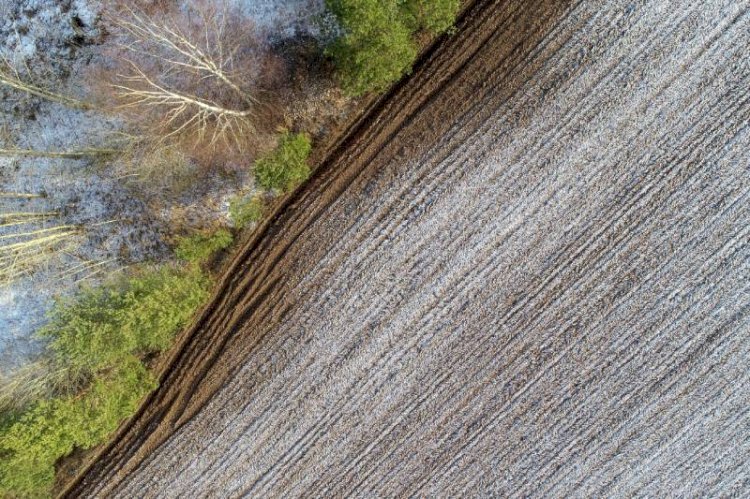 بهترین زمان انجام یخ‌آب زمستانه کِی است؟ گزارش غیاثی شاپ